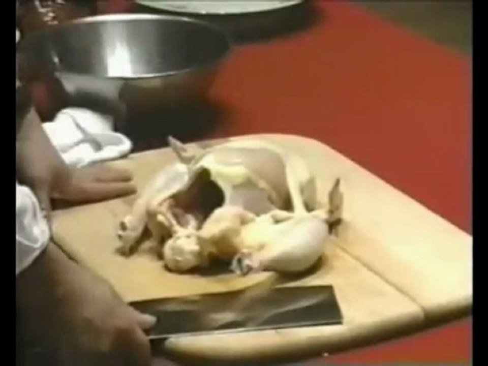 martin yan crves a chicke 18 secs with a lightsaber