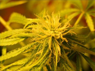 intrumentals le hip hop re   vie   t--a__94prod