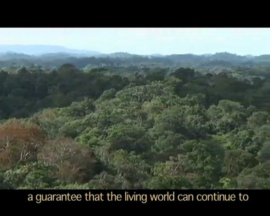 Biodiversité en Guyane /1 - Biodiversity in french Guyana /1