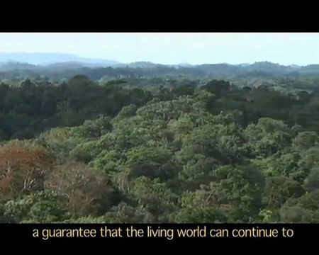 Biodiversité en Guyane /1 - Biodiversity in french Guyana /1