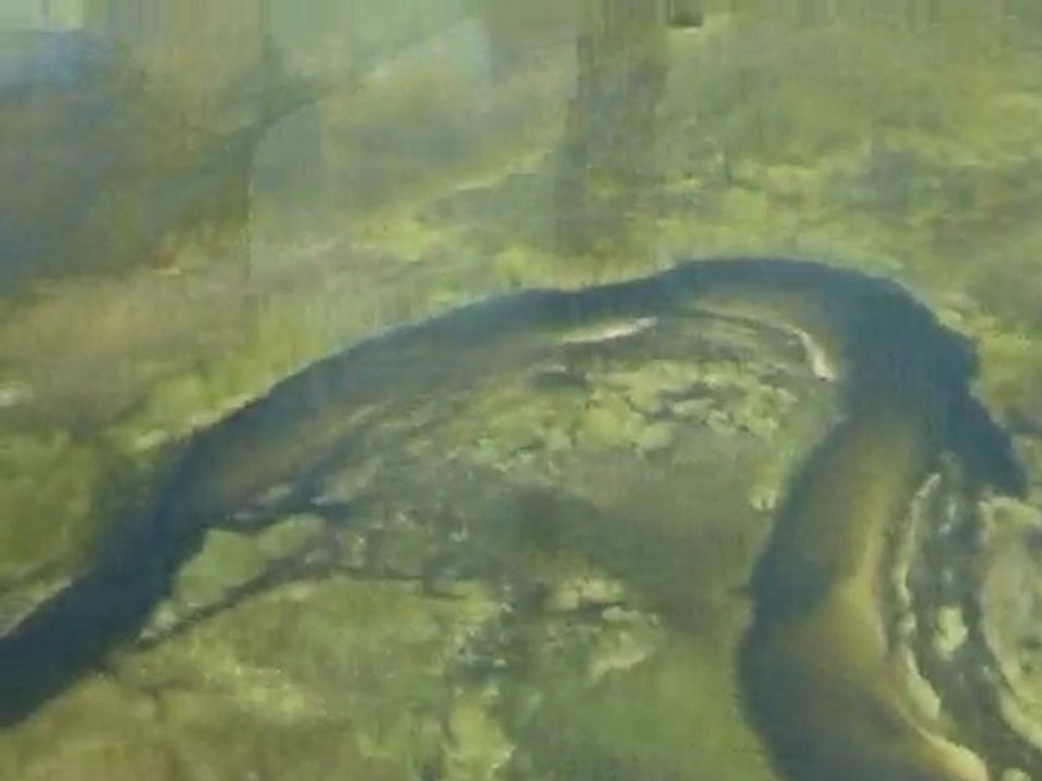 Victoria falls Zimbabwe & Okavango Botswana