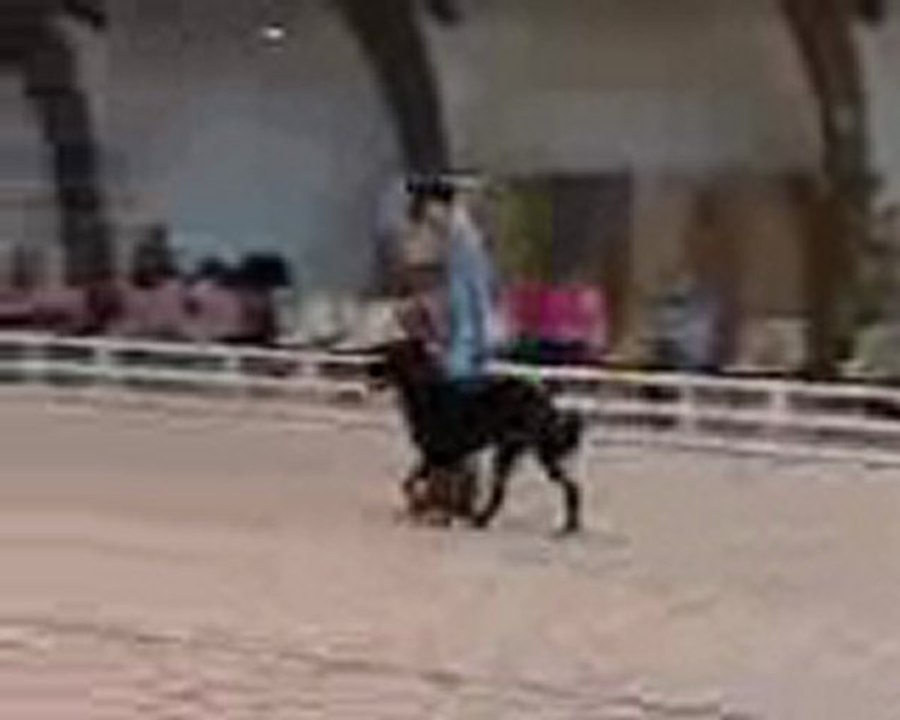 1 ER CONCOUR D OBE RYTHMEE A COMPIEGNE