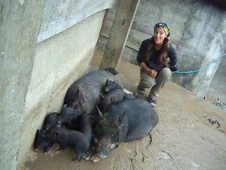 Bonne fete ma cochonne