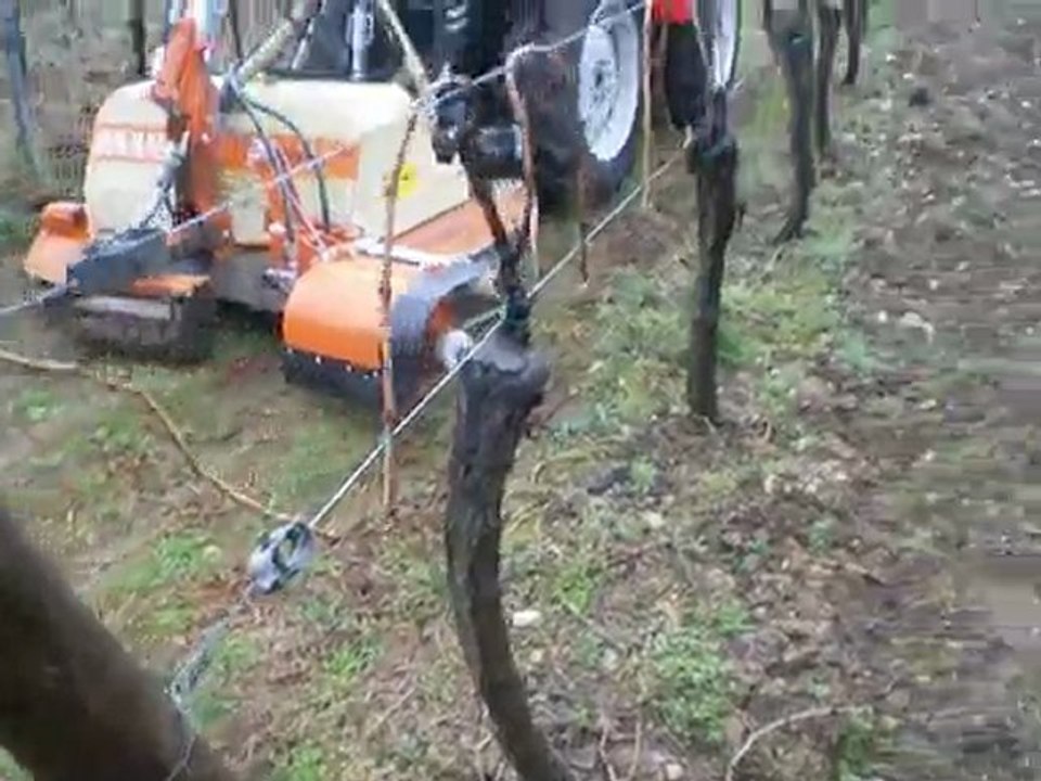 FaucheuseIntercepBraun