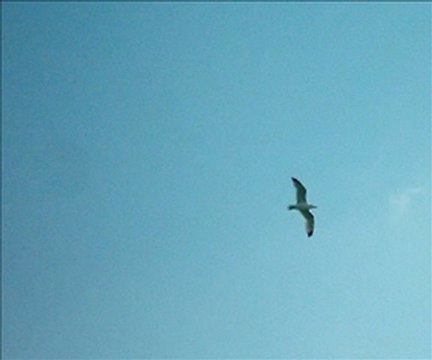 başka türlü bir şey - yeni türkü