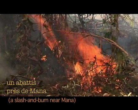 Biodiversité en Guyane /2 - Biodiversity in french Guyana /2
