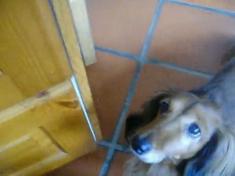 juju d amour ma tite tototte et perle