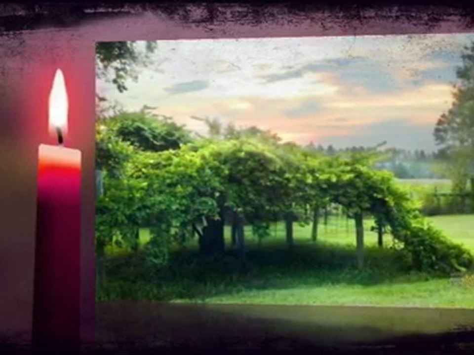 evankut music