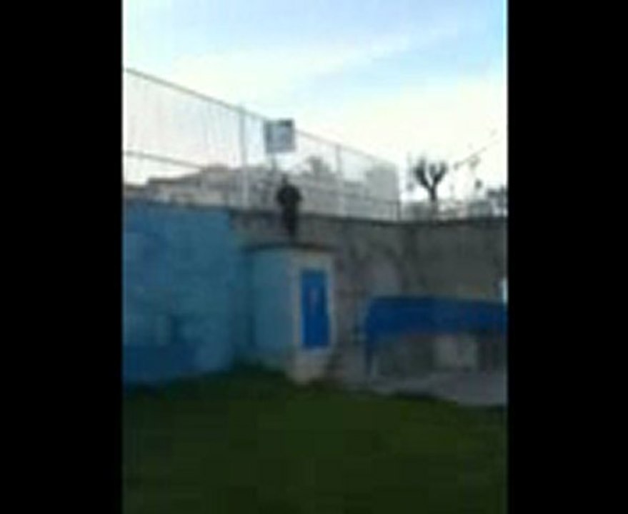free run