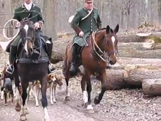 Chasse à courre au chevreuil