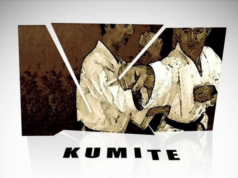 L'essentiel du karaté shotokan