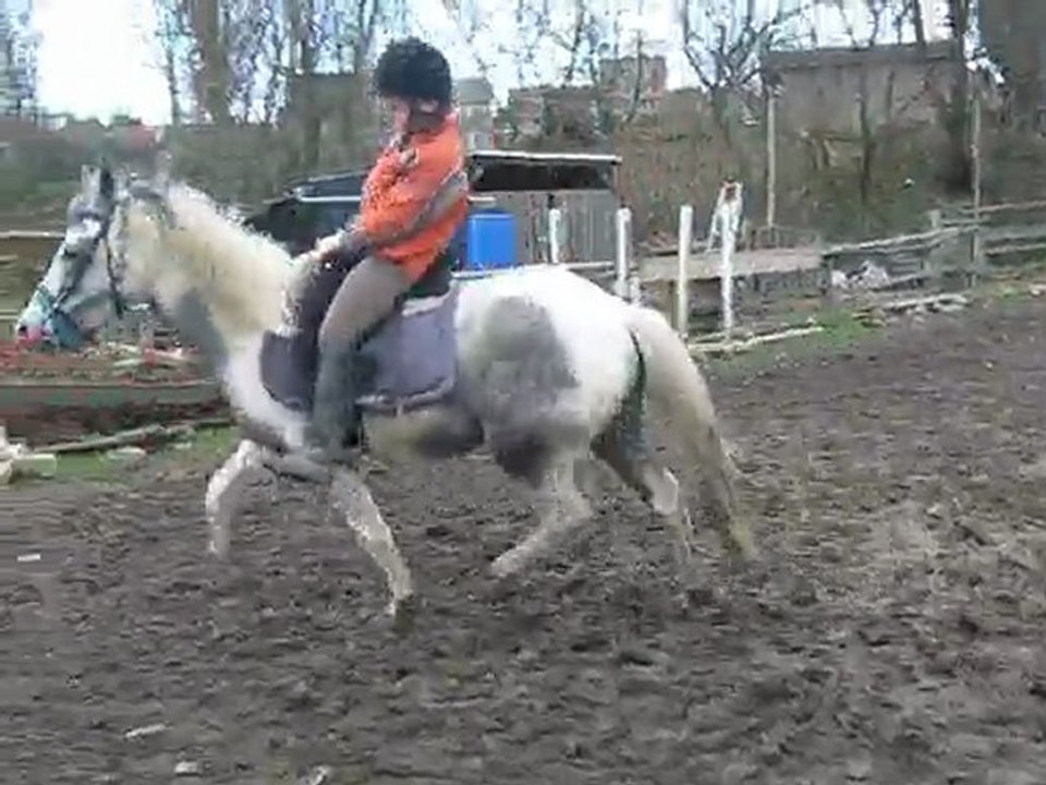 cheyenne porte un cavalier