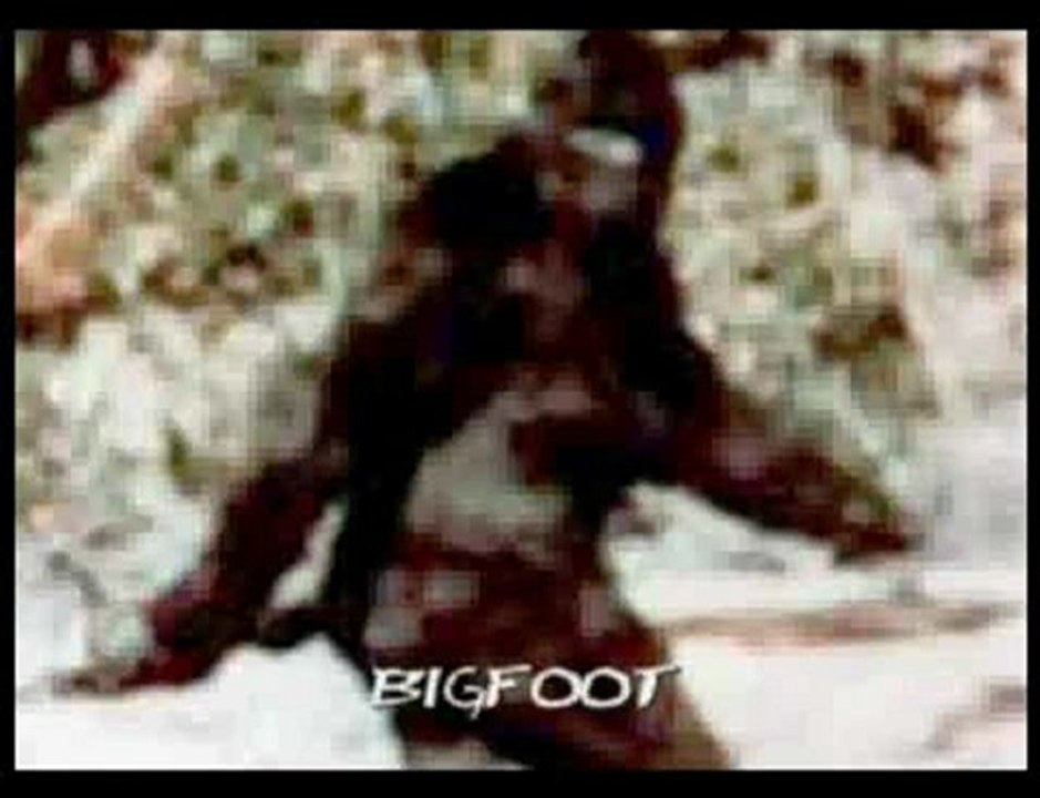 [From www.metacafe.com] 4314419.13456379.11