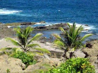 plages de martinique