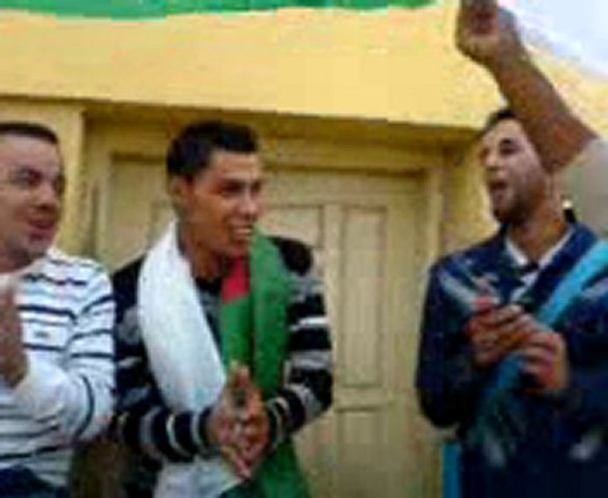 mostaganem biba