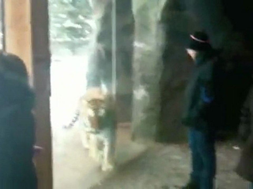 MN ZoO