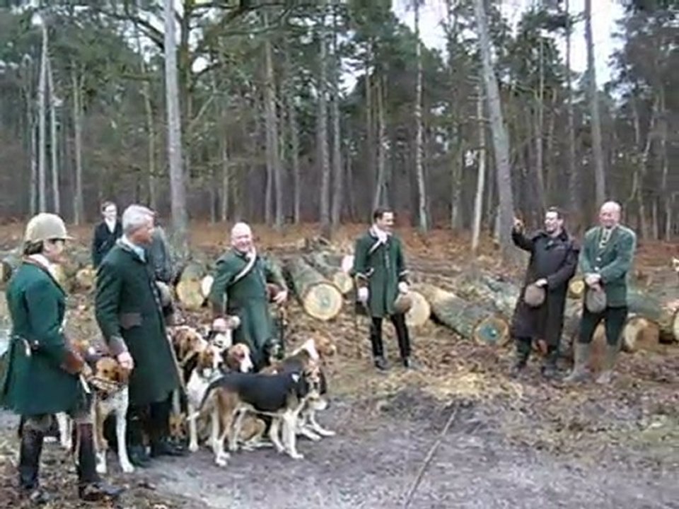 chasse à courre du chevreuil : le rapport