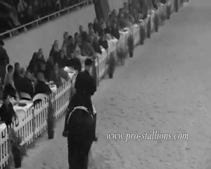 Vidéo Dressage/ Cso By Galateah