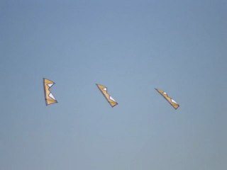 Revolution Kites