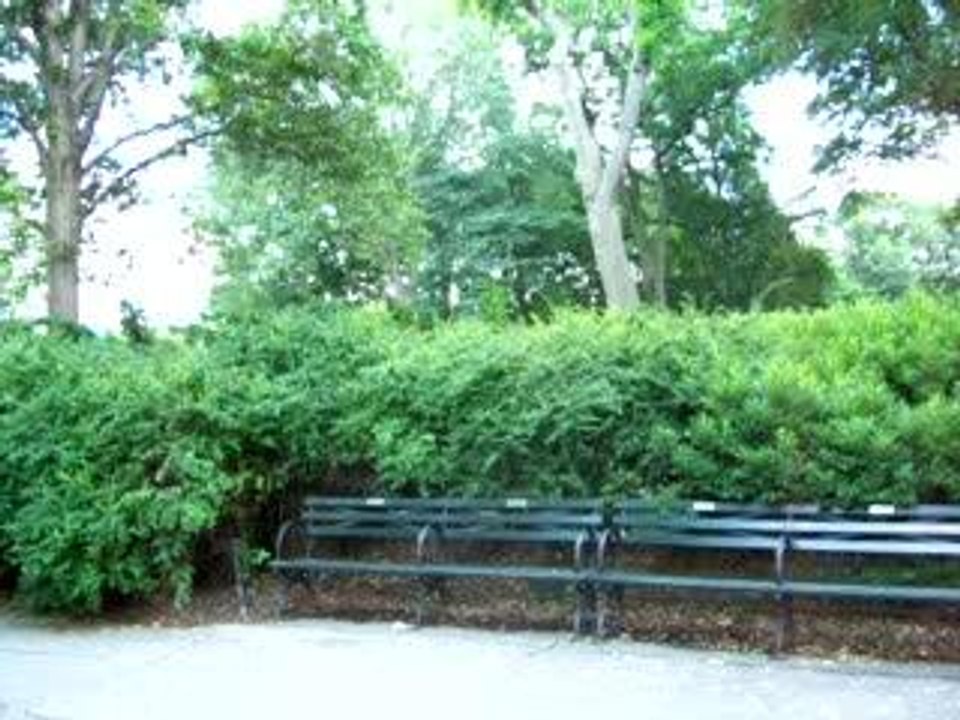 Ballade a Central Park  II
