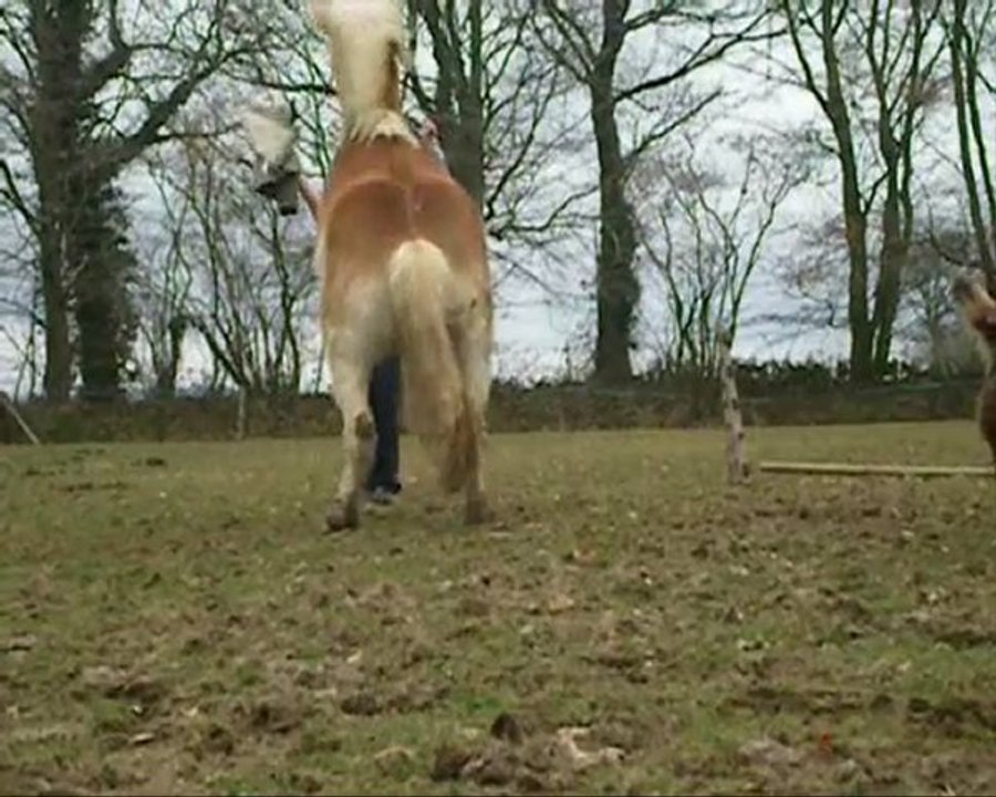 Résumé début d'année