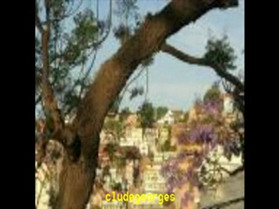 Finoana 5. Tohiny