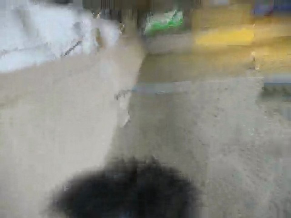 saut shetland vue du dessus