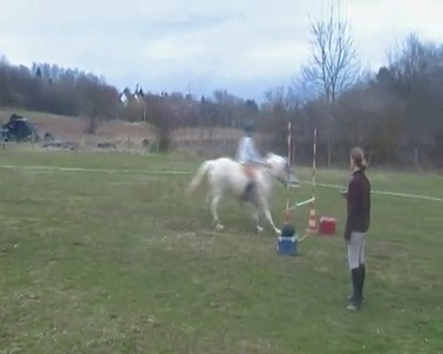 Saut D'obstacle 8