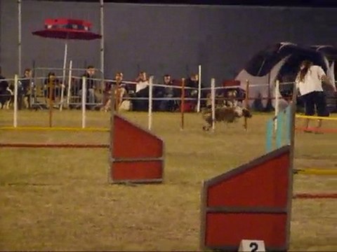 Concours Agility Angélique & Vani koro 29 Août 2009 àSaintes