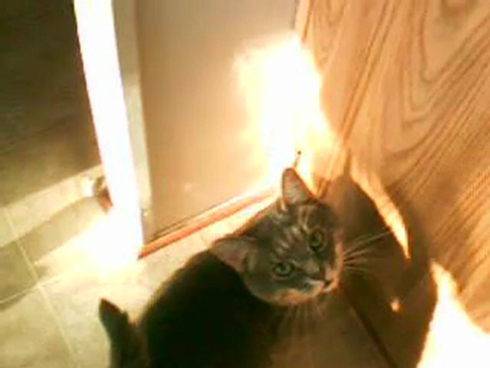 xboxcam 006