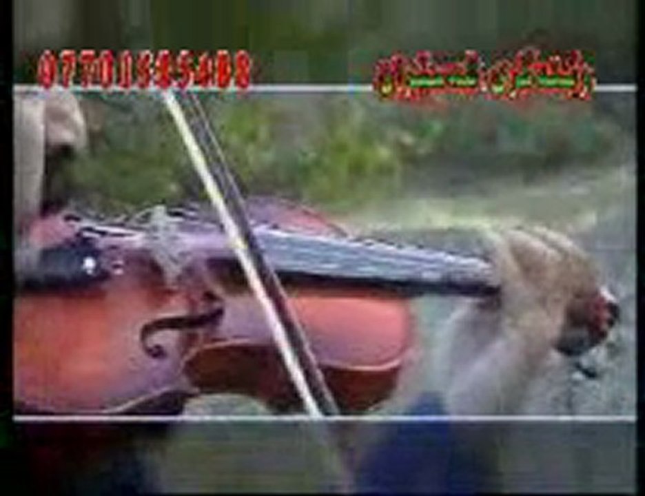 Kurdish song   Aziz Weysi