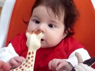 sophie la girafe 2