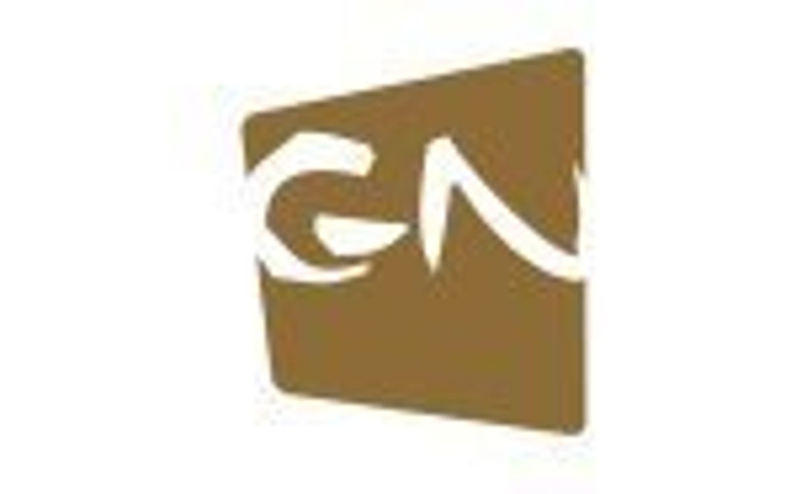 GN 2008 - Le commando de communication