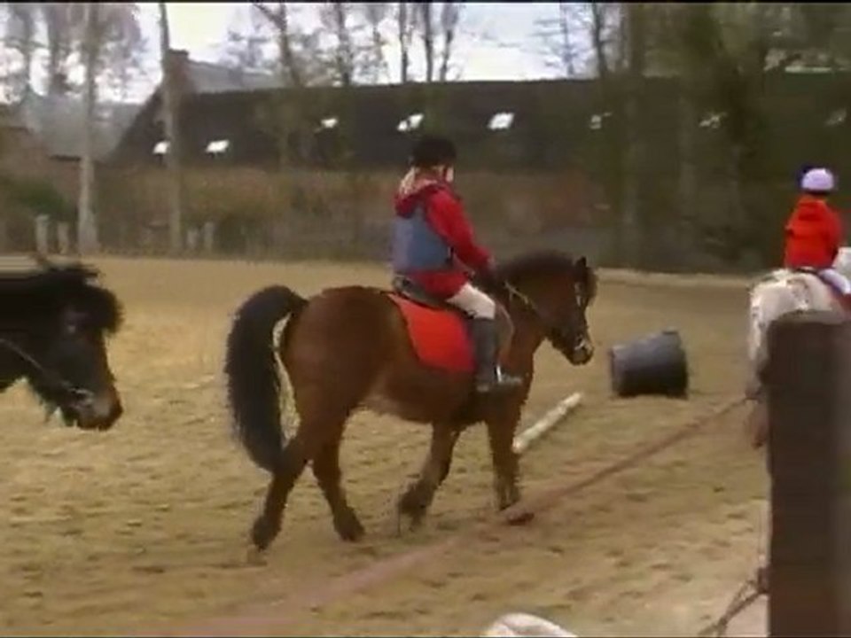 Cheval à l-extérieur