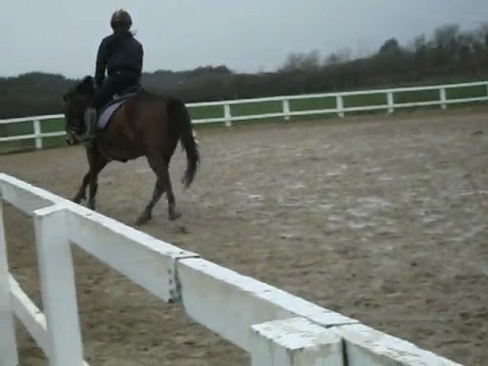 Mission Divine parcours CSO