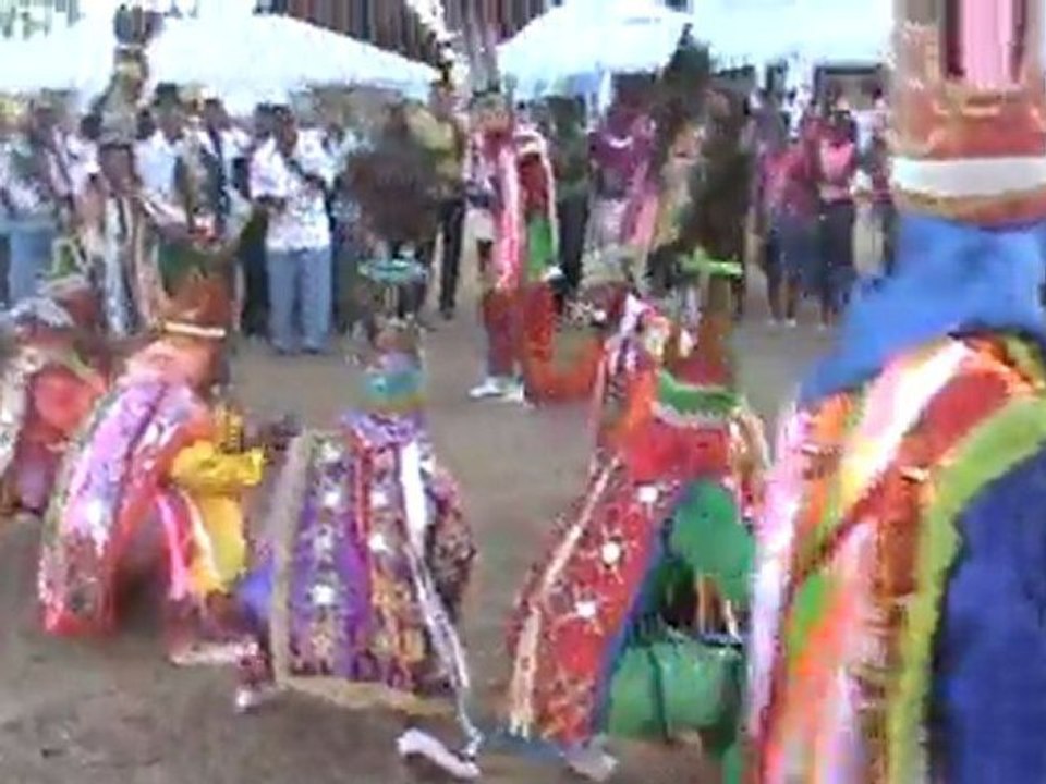 LOS GULOYAS DE SAN PEDRO DE MACORIS 2010