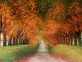 Sonbahar -  Emre Tekin (Broke'n ' Bell )