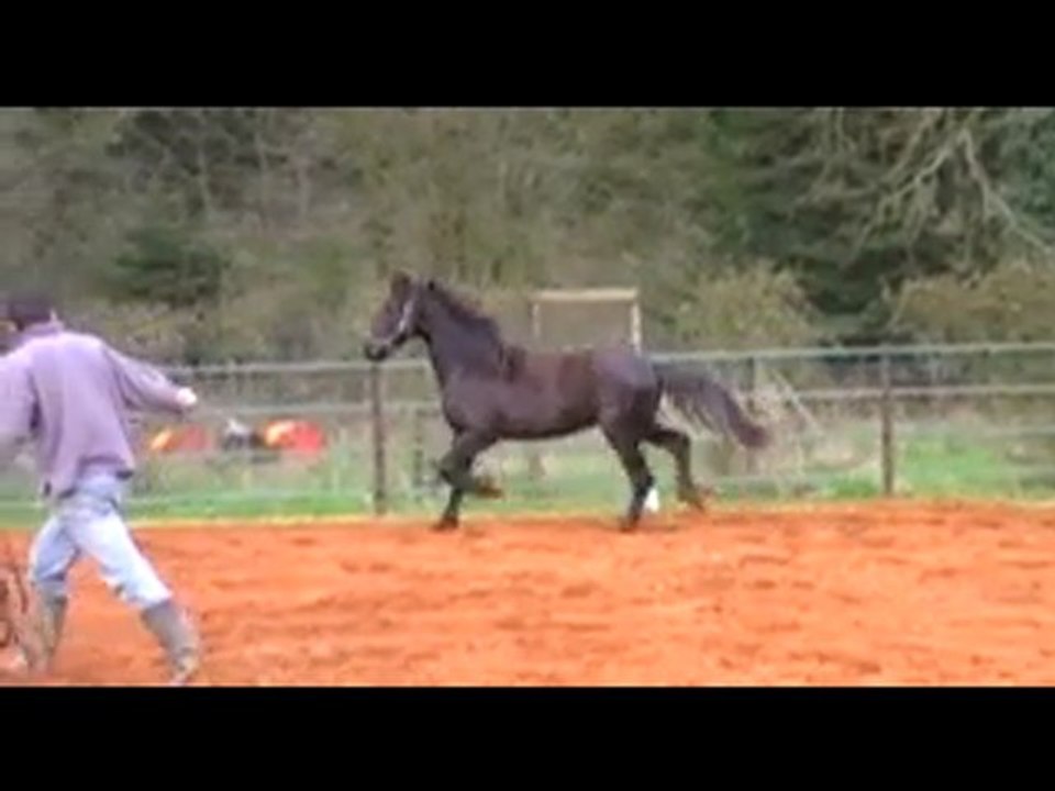 Casper du Breuil aux Biches