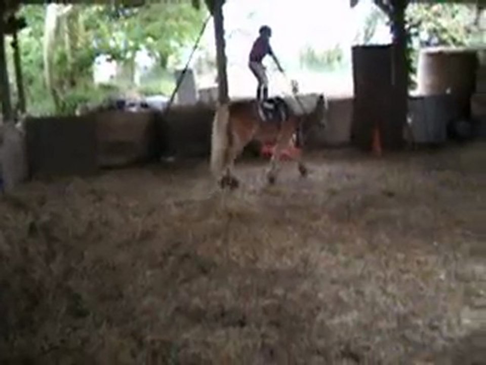 voltige avec coco =)