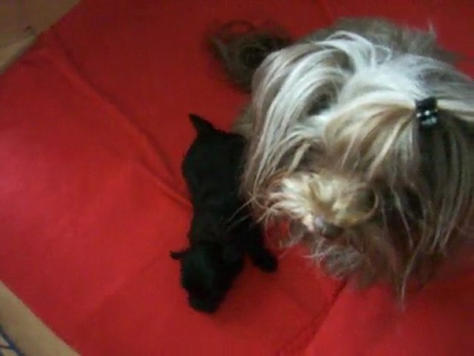 Campino3.woche