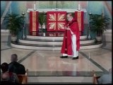 Palm Sunday Blessing and Homily, Catholic priest