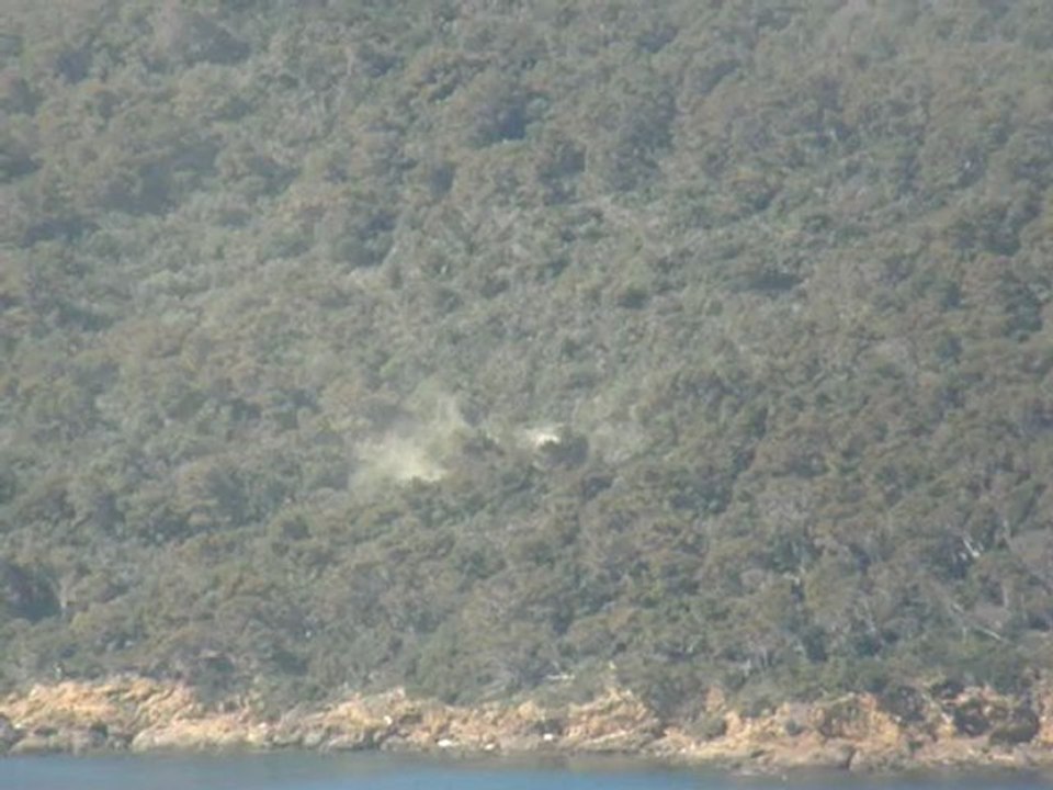 Départ de pollen sur l'île de Port Cros