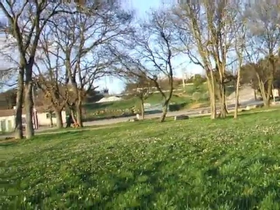 DSCF1524