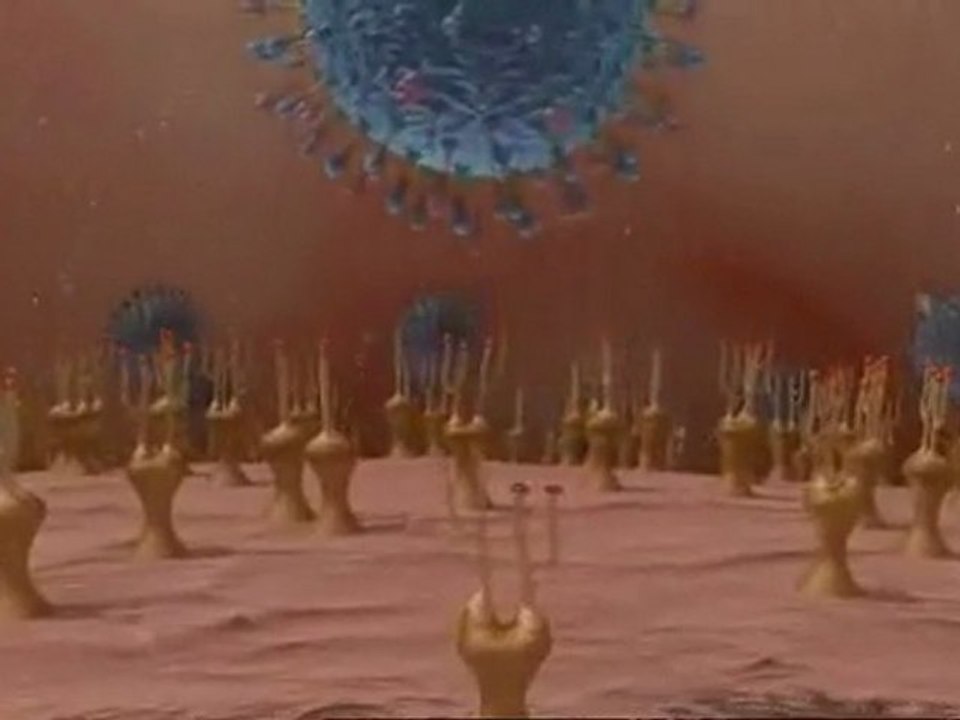 h1n1 nos virus ont de l'avenir 1