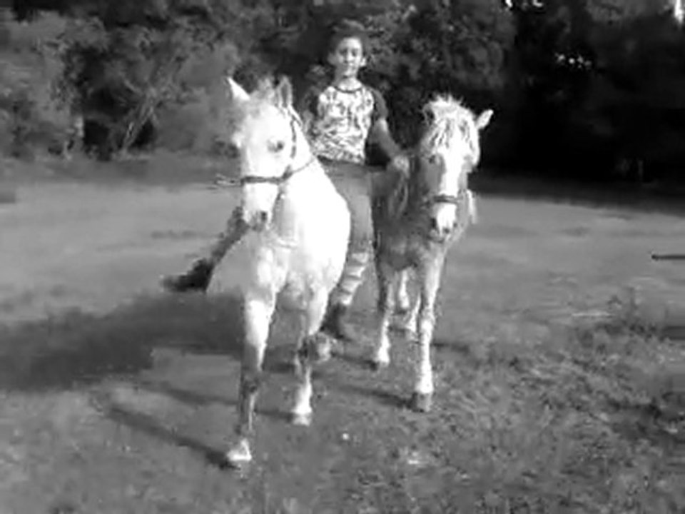 Jav en main robin monter