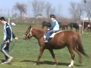 Berkay Aydın At Çiftliğinde