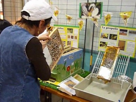 abeille Saint loup cammas 21.03.2010 Abeillement votre !!!