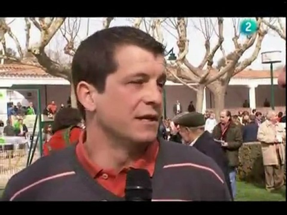 Entrevista a Teo Callejo