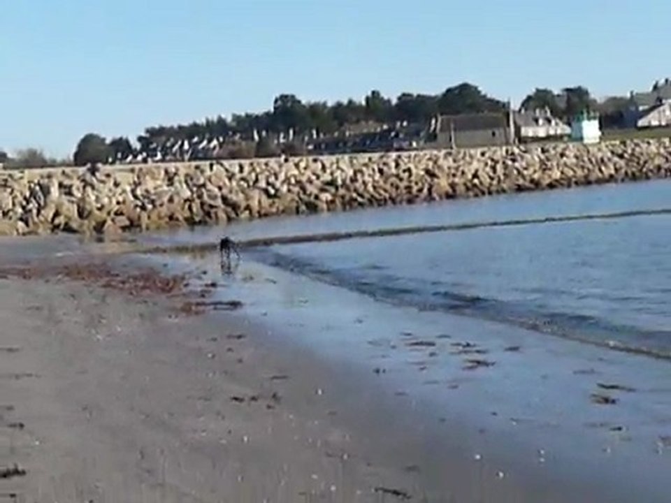 EWANE s'éclate à la mer, Mars 2010 2