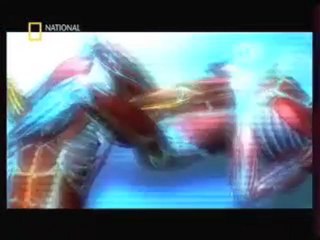 Science sport- Science MMA partie 3